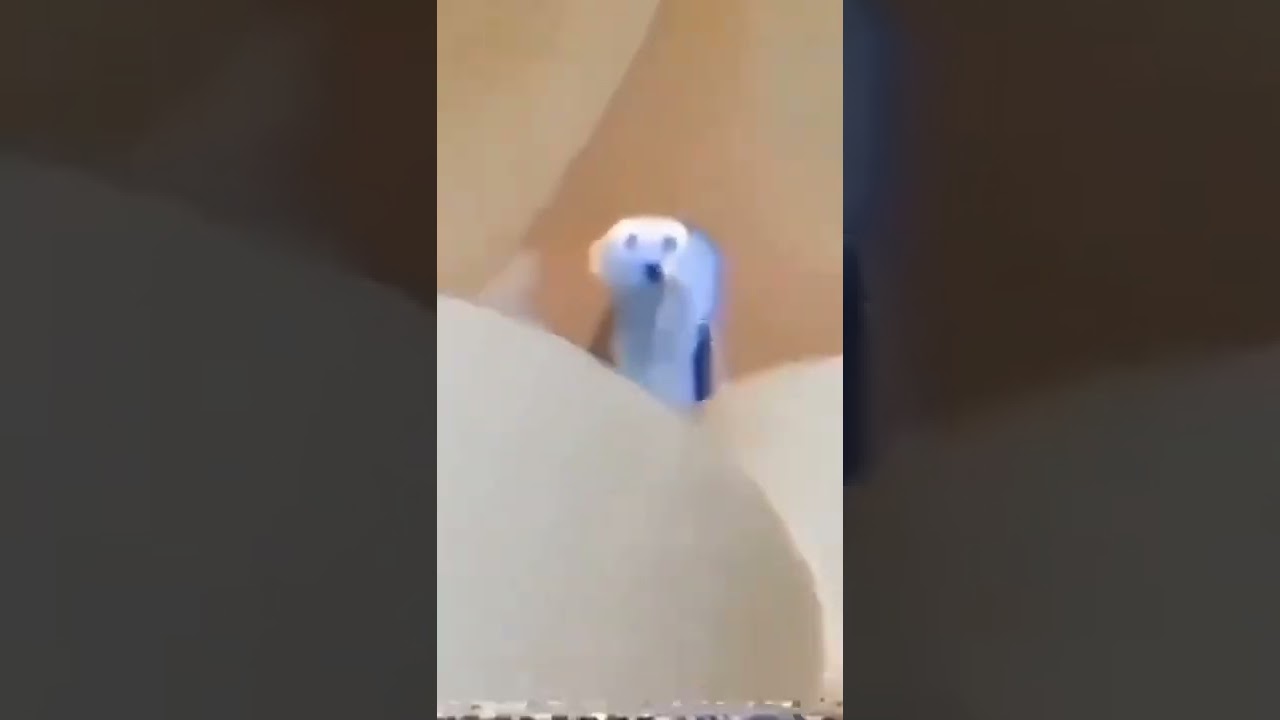 Marshmallow Dog meme #shorts #memes