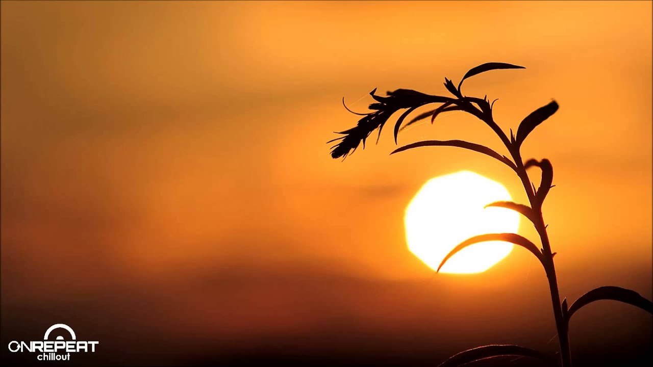 Bryan Milton | Sunny Day