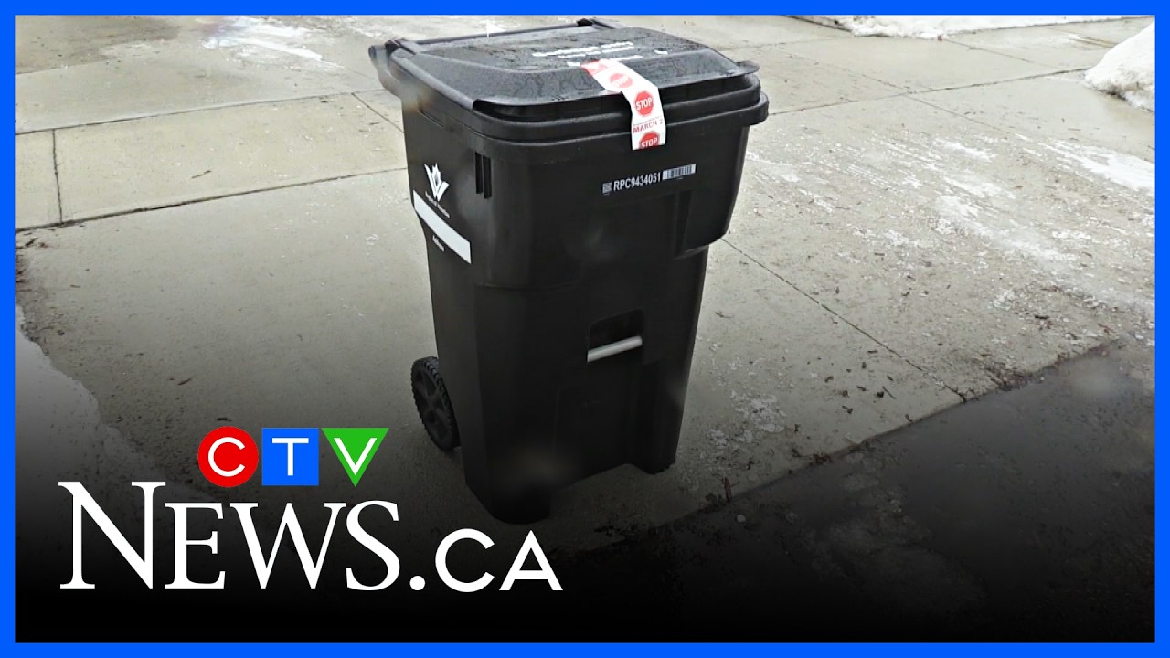 Waste collection cart system coming into effect