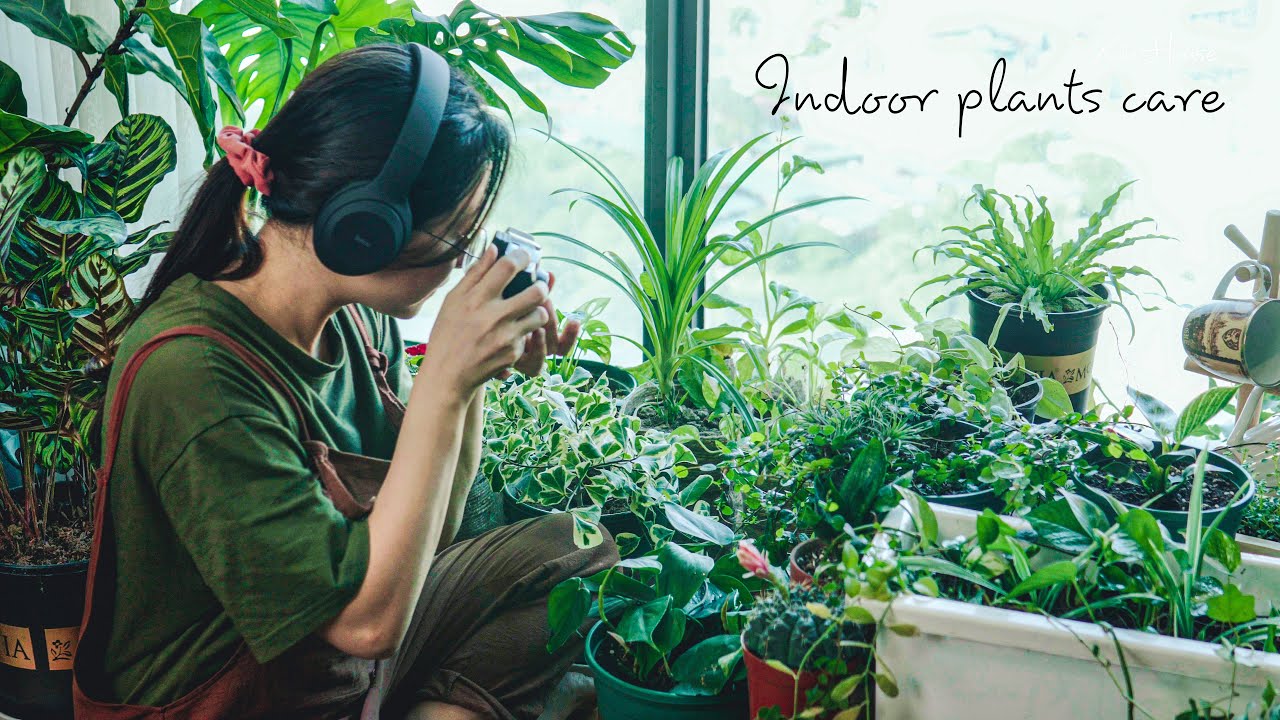 #29) 10 Easy Indoor Plants Care Tips to Keep Your Plants Healthy 🌿 Houseplant Success Made Simple