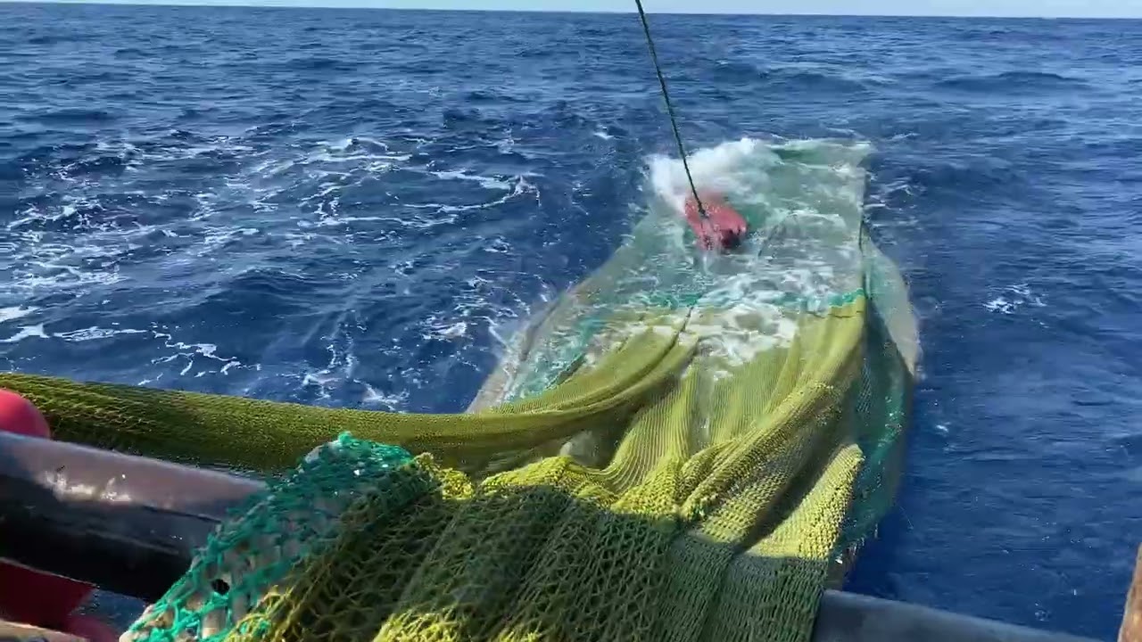 Scopri Fano Marinara - La Pesca a Strascico - TRAWLING - SUB ENG