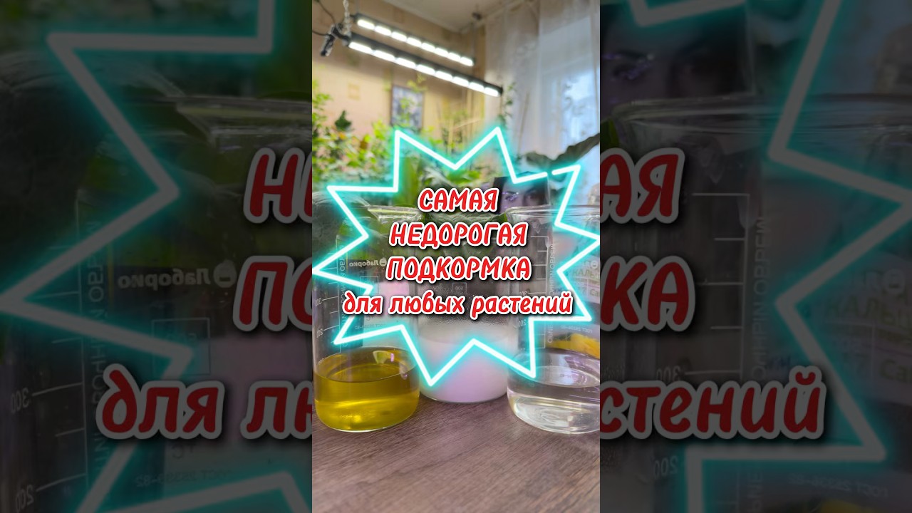 Как почти бесплатно подкармливать рассаду и не только? #сад #рецепт #рассада #огород #дача #эустома