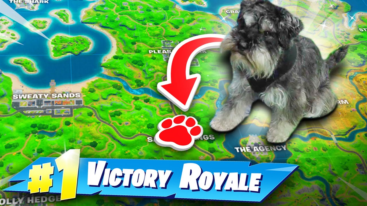 LAZARBEAM’S DOG PICKS MY DROP SPOT!