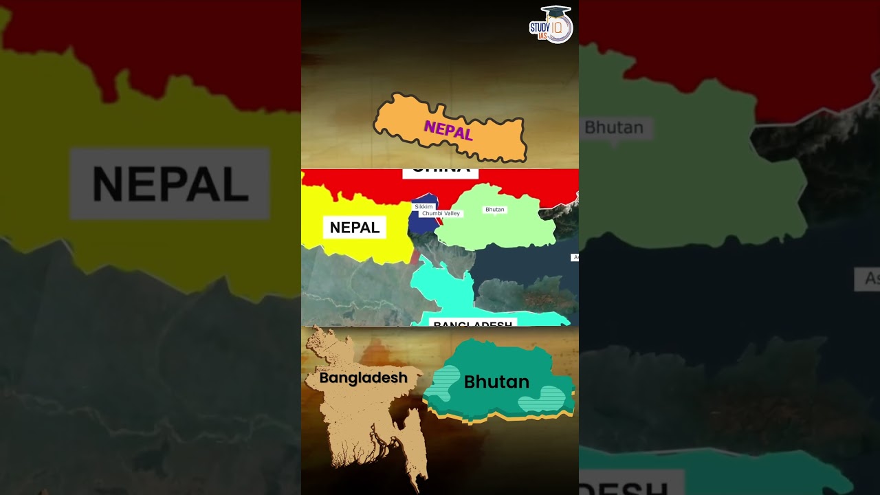 Importance of Chicken Neck for India. 