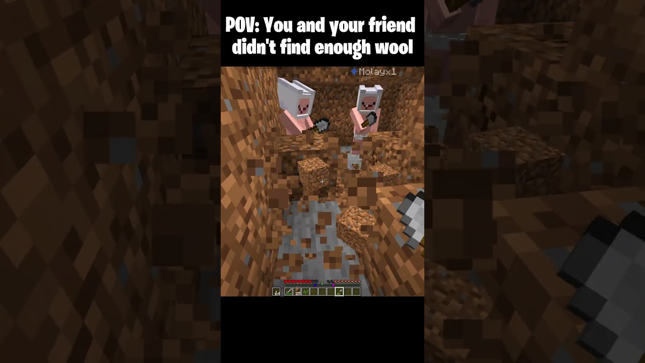 POV You and your friend didn't find enough wool 😔 #minecraft #shorts #minecraftshorts