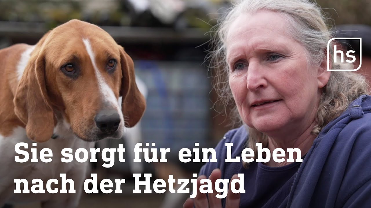 Tierschützerin vermittelt über 600 Hunde | hessenschau