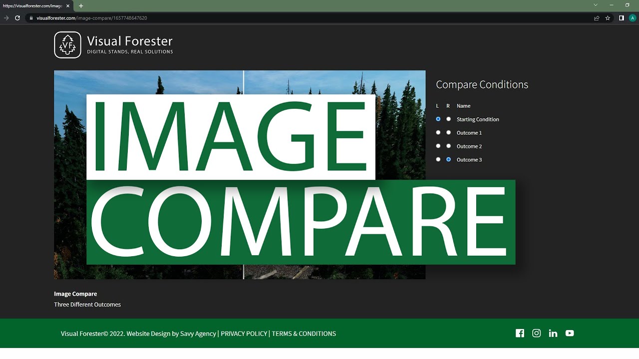 Image Compare now built into Visual Forester Account