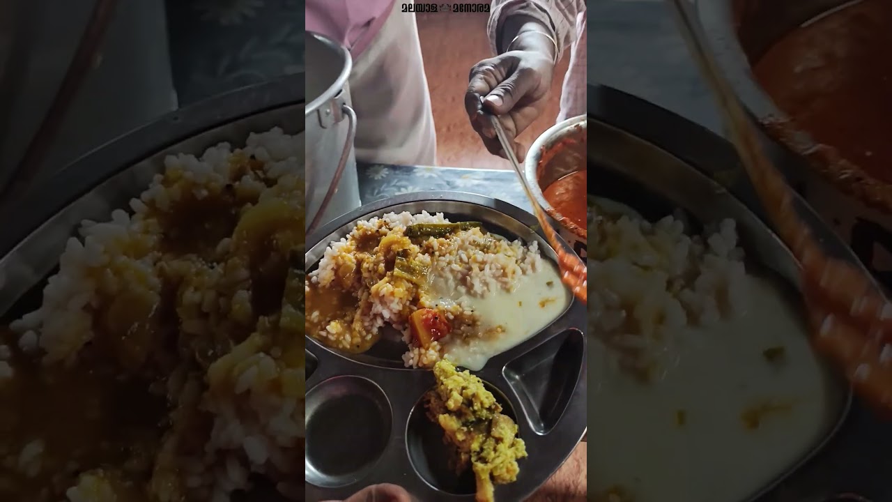 മകൾക്കായി ആ അമ്മച്ചുവടുകൾ ഇടറാതെ മുന്നോട്ട് തന്നെ നീങ്ങുകയാണ്# മലയാള മനോരമ | Malayala Manorama