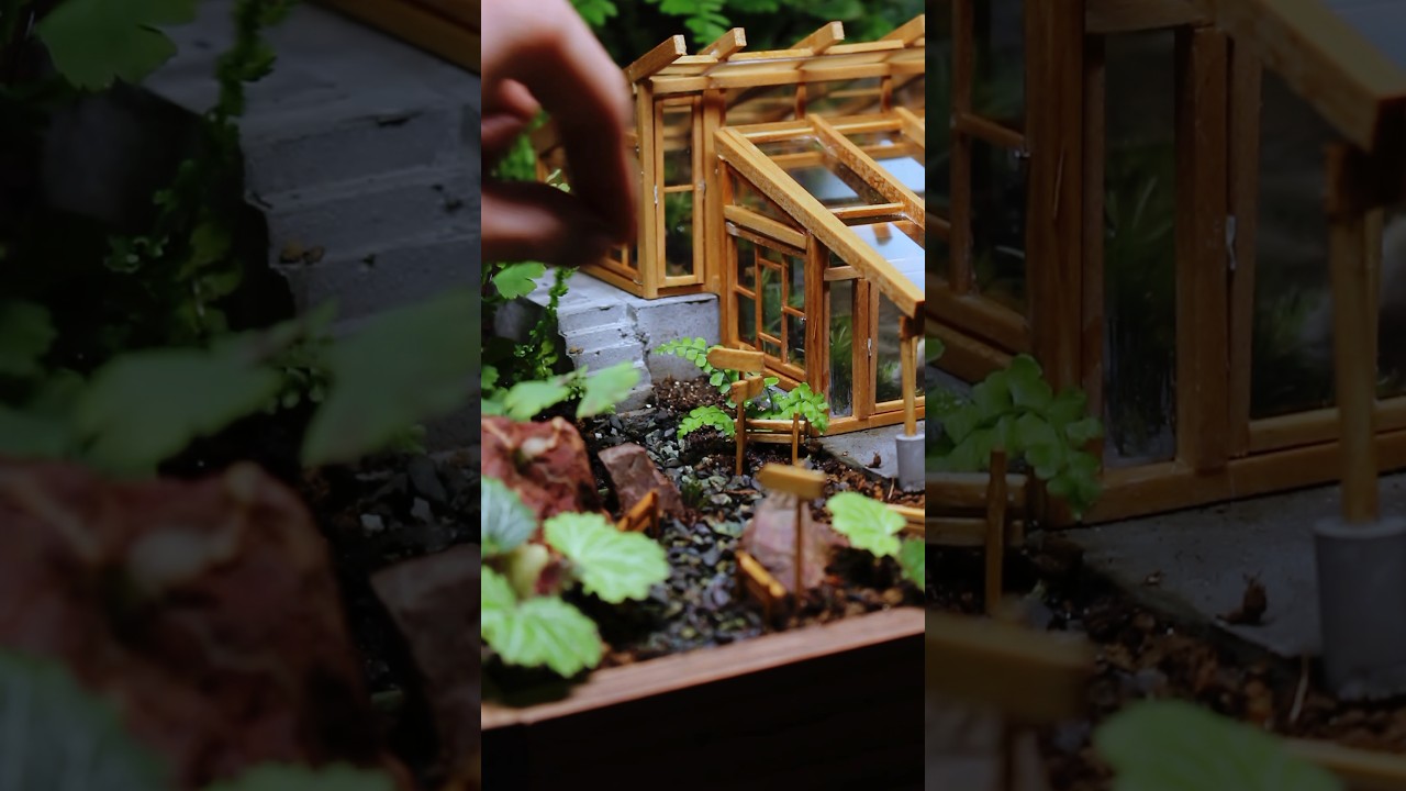 森に佇む温室テラリウム Forest Greenhouse Terrarium