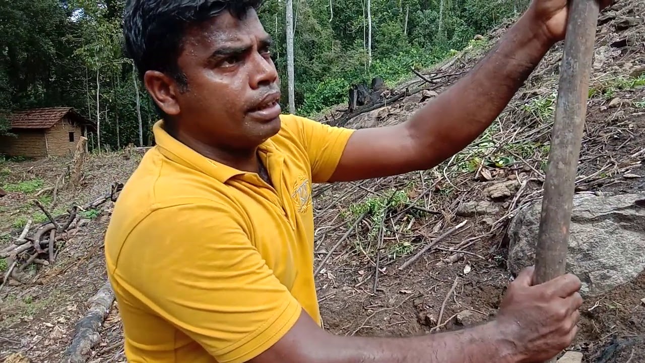 කුරුදු  අක්කර 1යෙන් ලක්ෂ20 කට වැඩි අදායමක්..