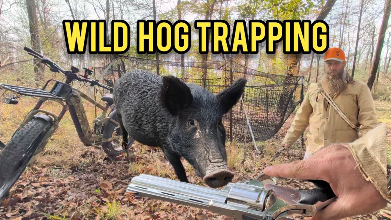 Trapping NUISANCE Wild Hogs, HOW TO Make HOMEMADE Breakfast Sausage, & PuckiPuppy's Dual Motor Ebike