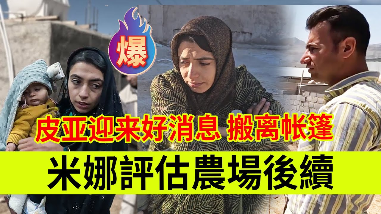 米娜评估农场后续，皮亚迎来好消息，终于住进了新房。伊朗女人米娜纪录片最新后续
