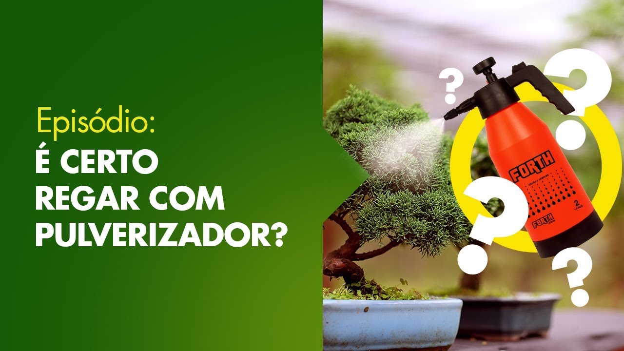 Como regar um Bonsai?