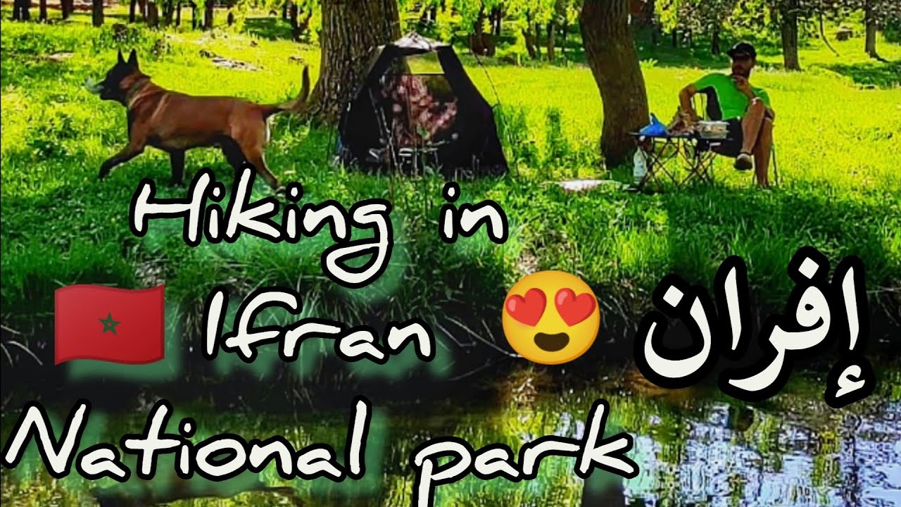 إفران/Ifrane 🌲سويسرا المغرب 🌲 من أجمل الأماكن لتخييم 🏕️ solo camping😍