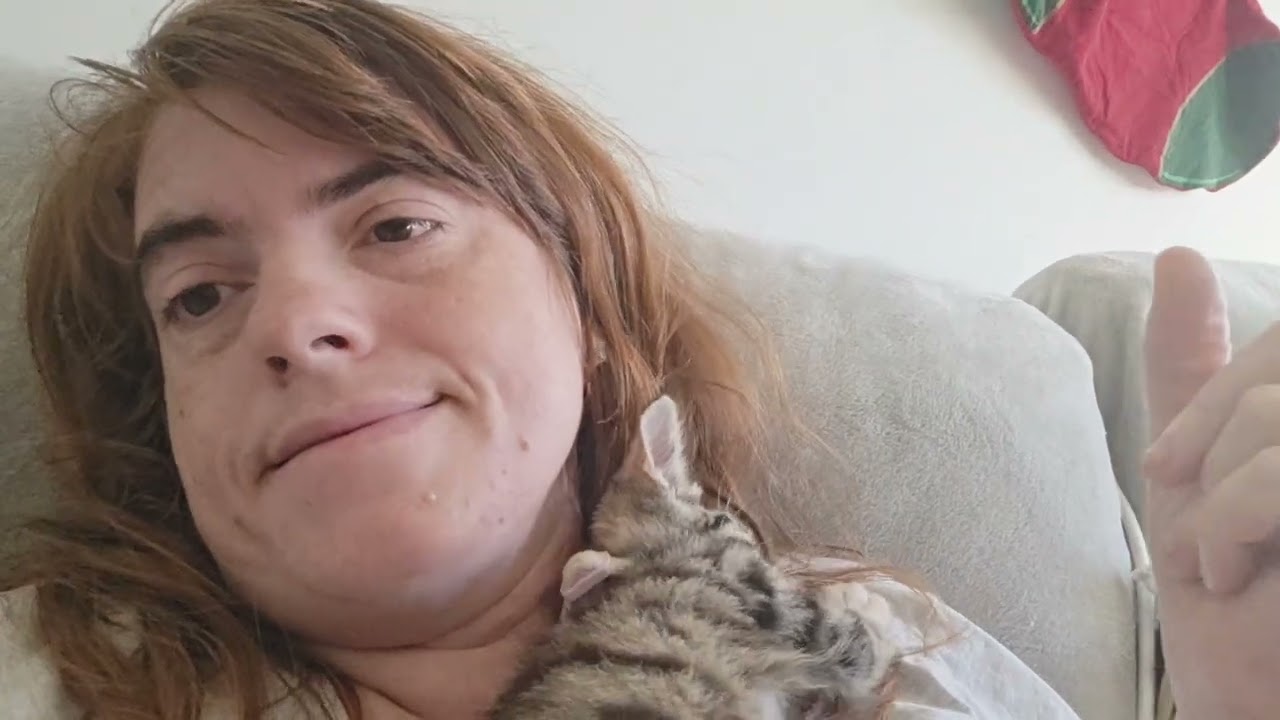 Cute kitty cuddles vlogmas 2025 day 3 