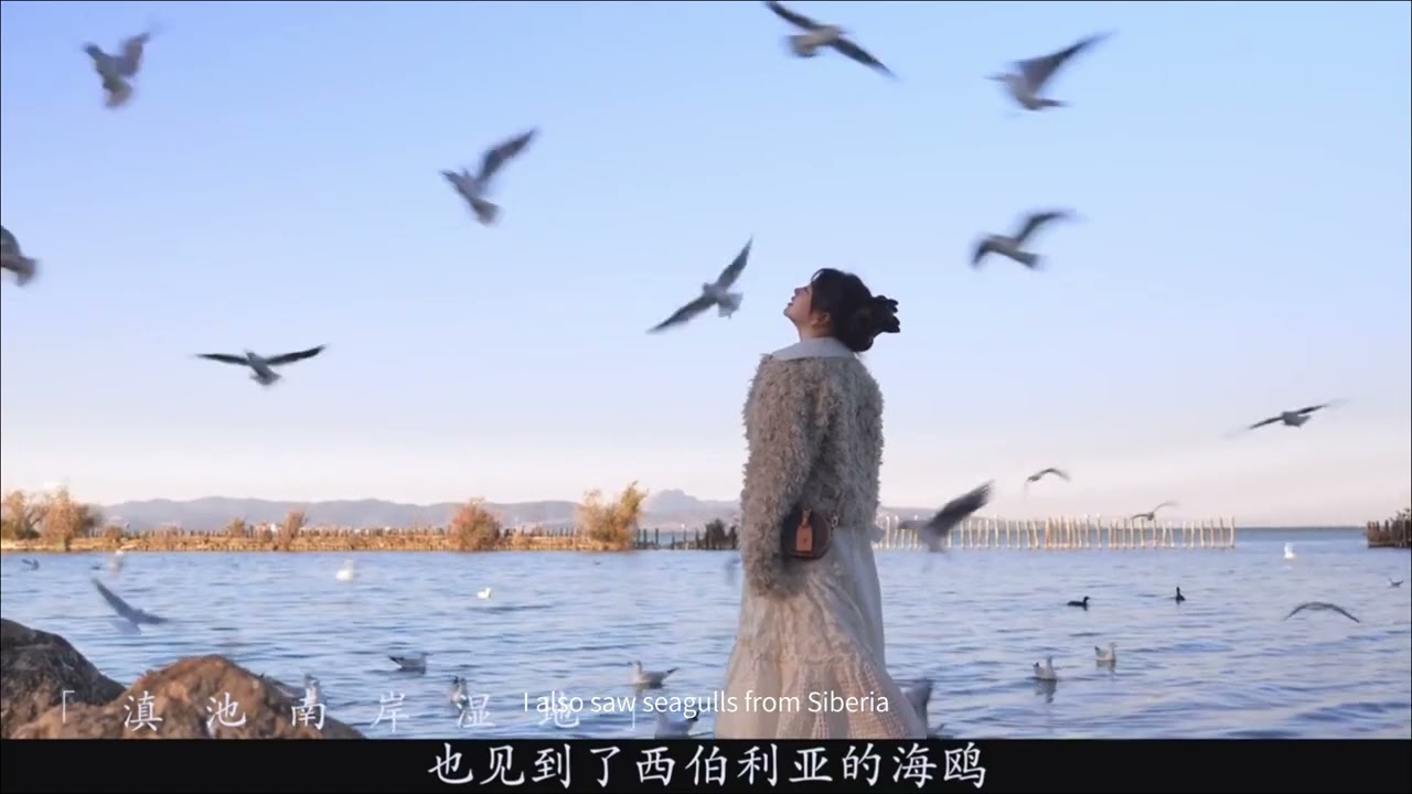 Inland cities also have oceans,did you know that? Welcome to Kungming.