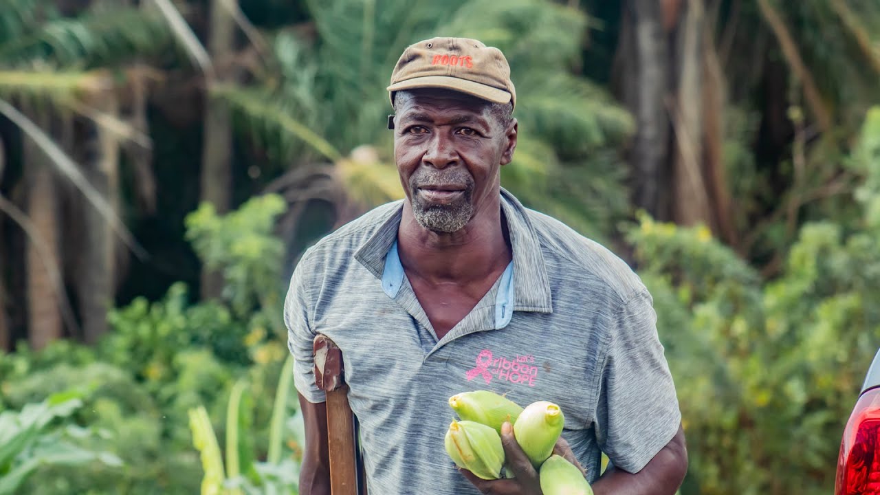Extension Farm Visit - Valentine Samuel's Farm -Argyle, St. Vincent