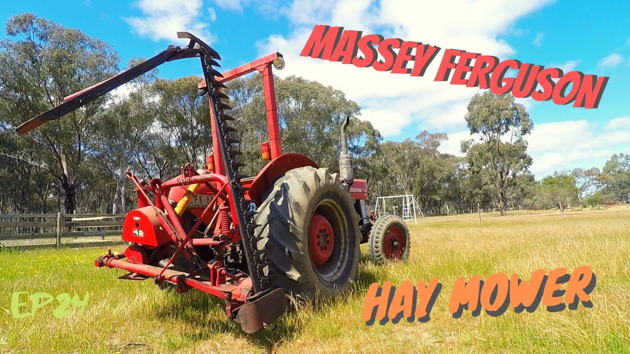 Massey Ferguson 135 & Sickle Bar Mower Test & Service Vintage Tractor Harvest at Rusted Iron Ranch