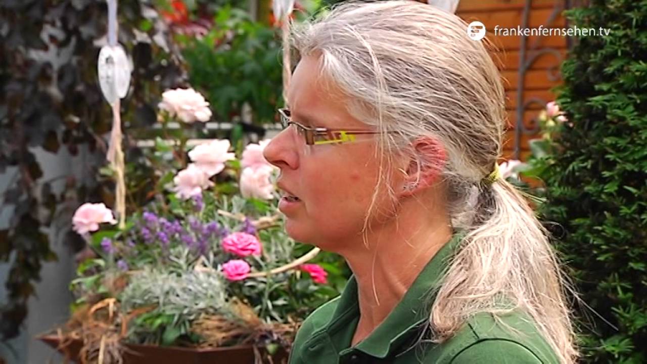 Das perfekte Rosenbeet - Blatt und Blüte Tipp der Gartenwelt Dauchenbeck