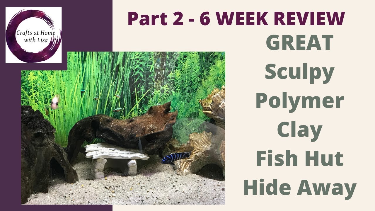 Pleasing Sculpey Polymer Clay Fish Hut 6 WEEK RESULTS