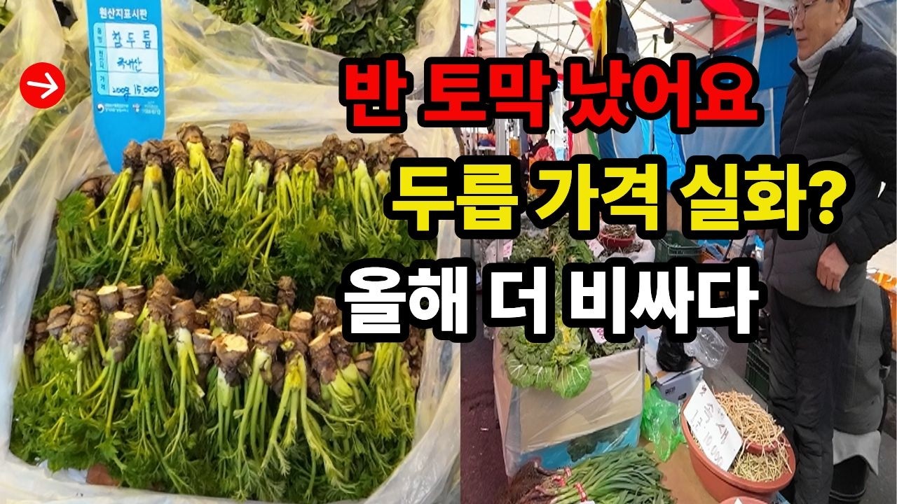 두릅·냉이 장바구니 들었다 놨다… 용문5일장 물가 체감! #봄나물#두릅가격#물가체감