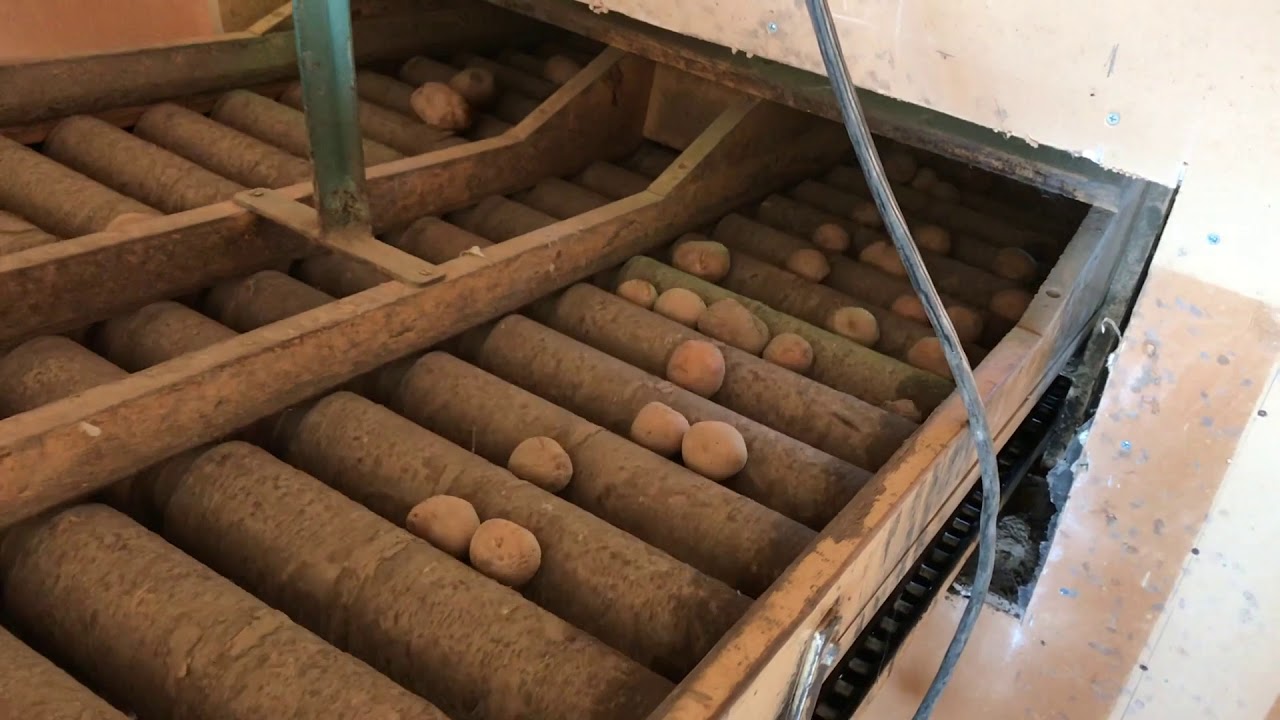 Köp Potatis sorteringsverk på Klaravik