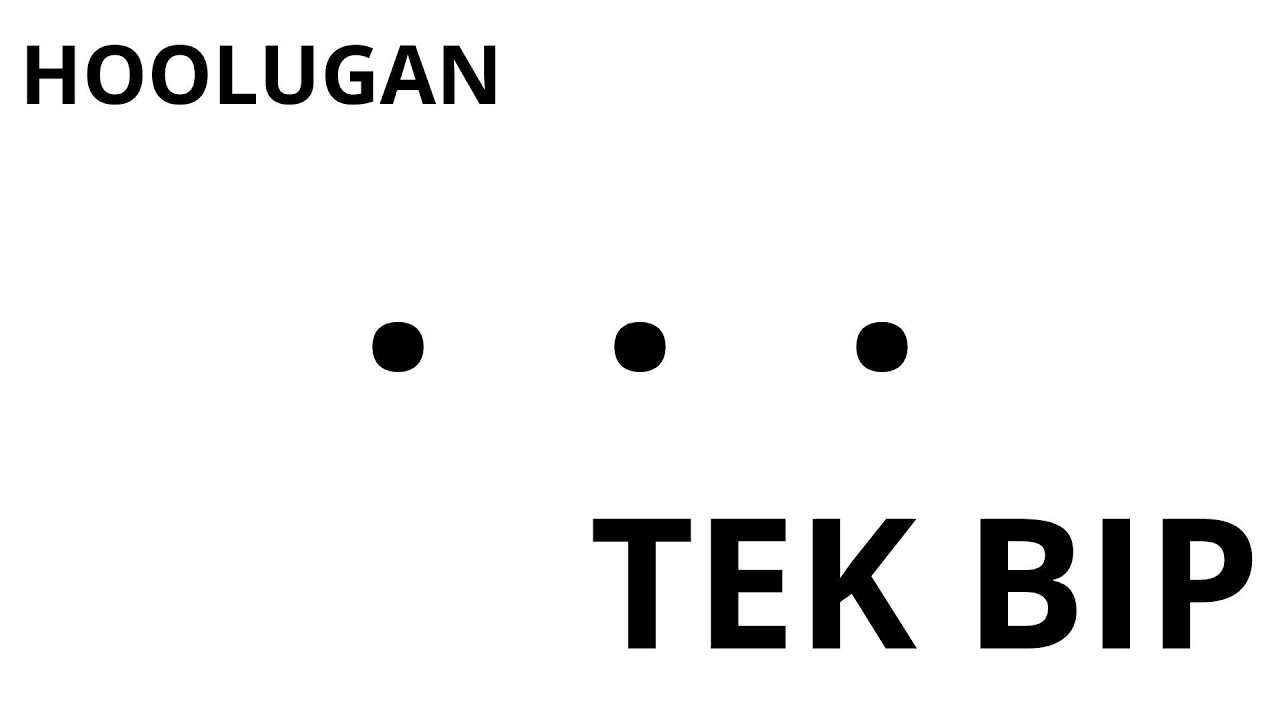 HOOLUGAN - TEK BIP