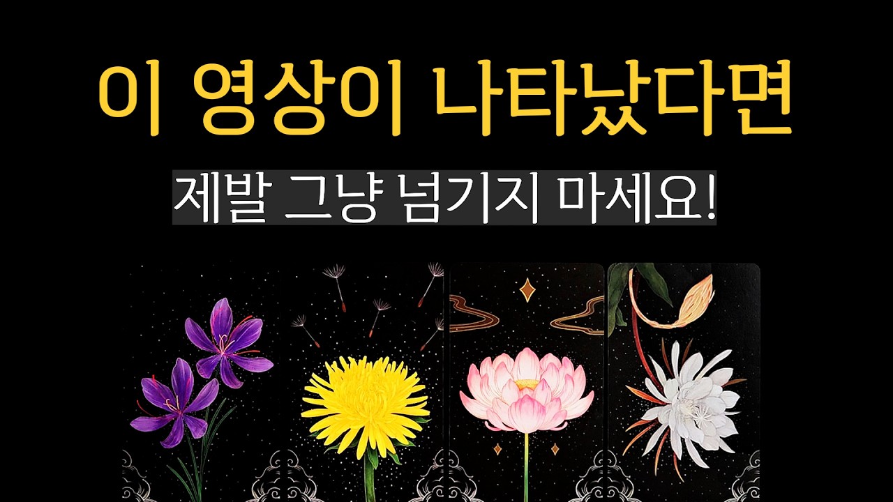 [타로] 지금 이 영상이 당신에게 뜬 이유 (우연이 아닙니다)
