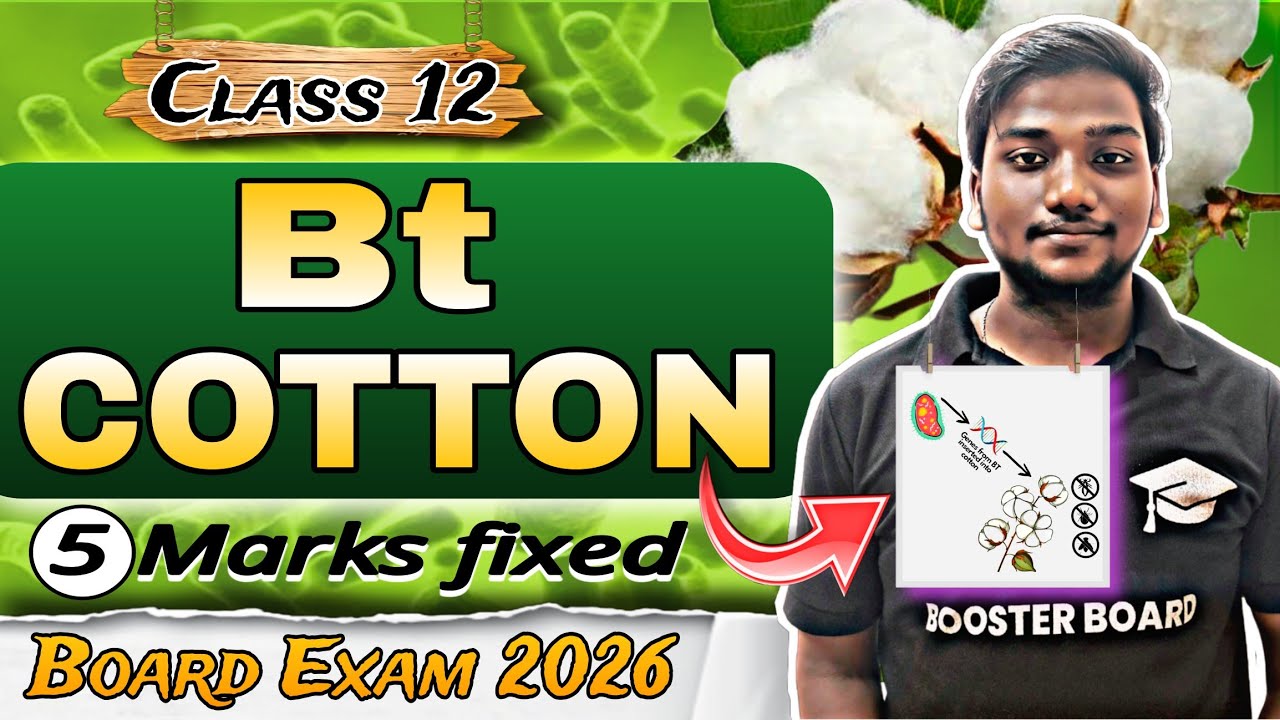 Bt Cotton Explained | Class 12 Biology | Biotechnology Board Exam Topic