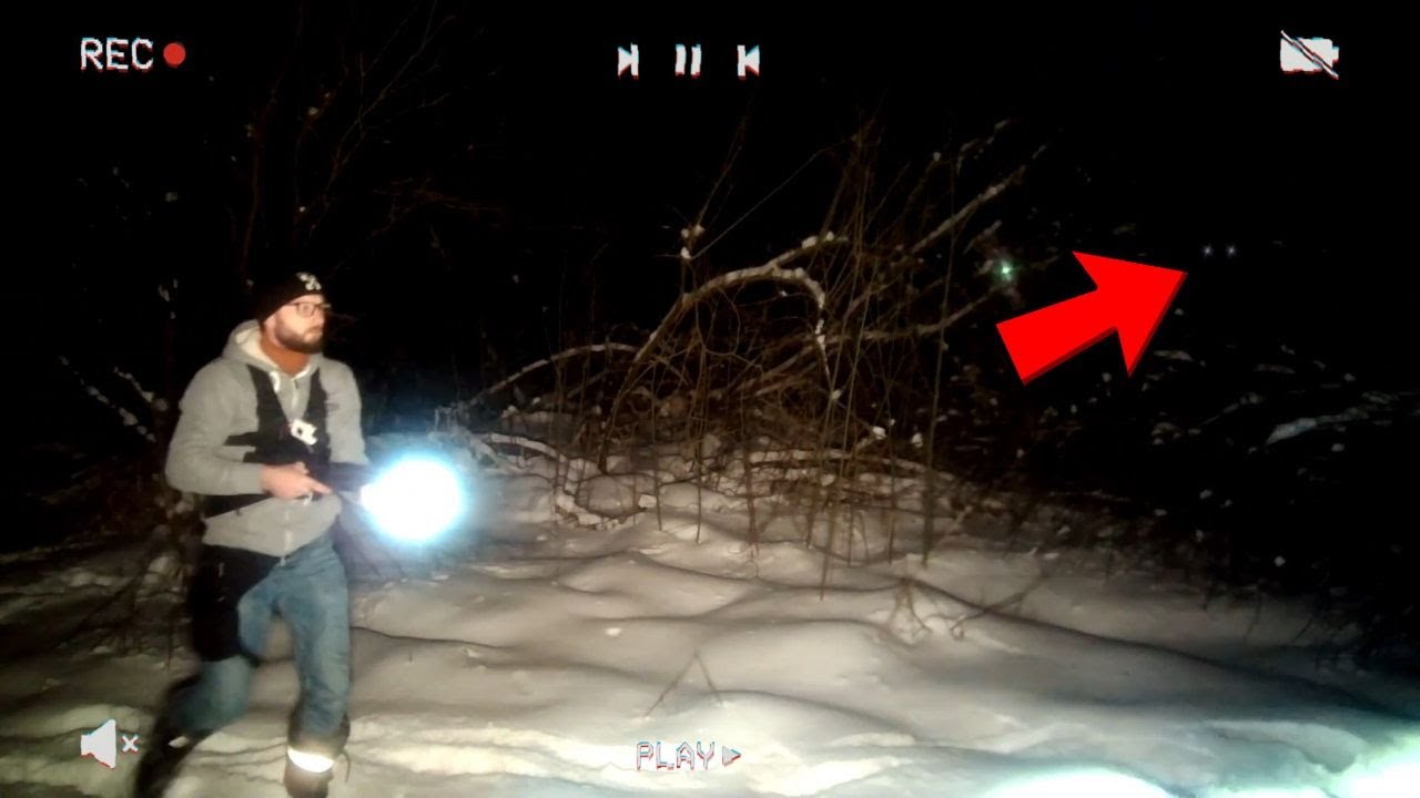 Os Encontros Mais Perturbadores  em Florestas Capturados em Vídeo!