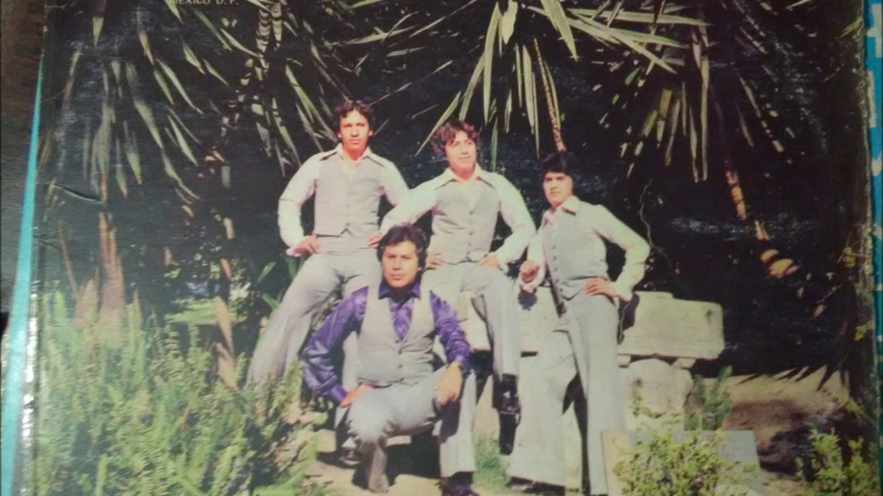 grupo  vida me hirió el pecado