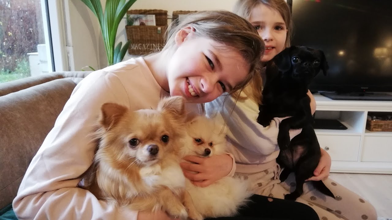 Det skal vores POMERANIAN HUNDEHVALP HEDDE..... 😀