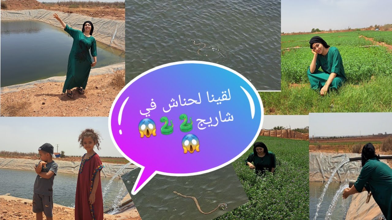 ✅️فلوك في بلاد راجلي #هوارة #اولاد-تايمة