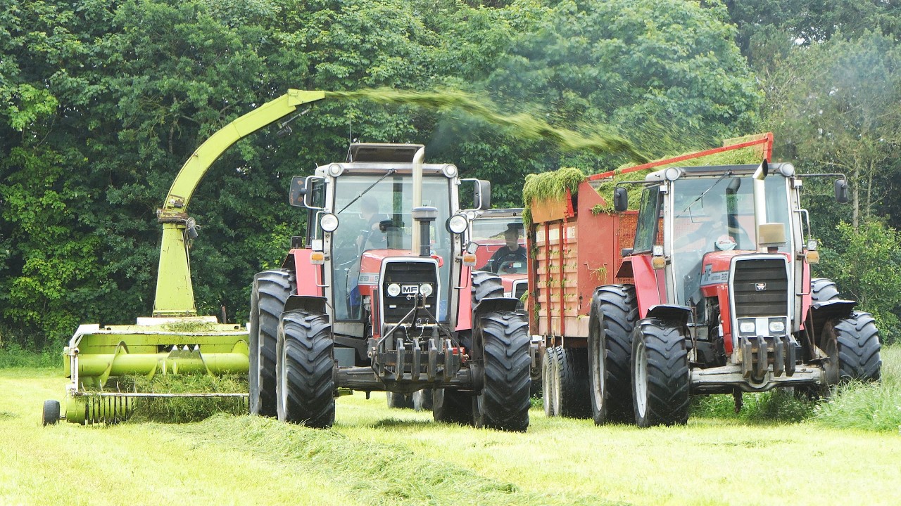 Massey Ferguson 2725 in the field Chopping Grass | Big Farming
