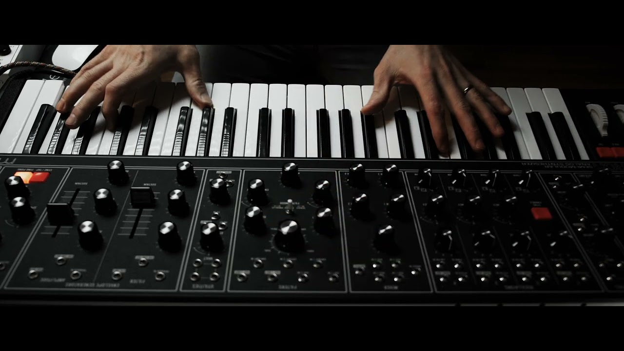 An All Organic Moog Matriarch