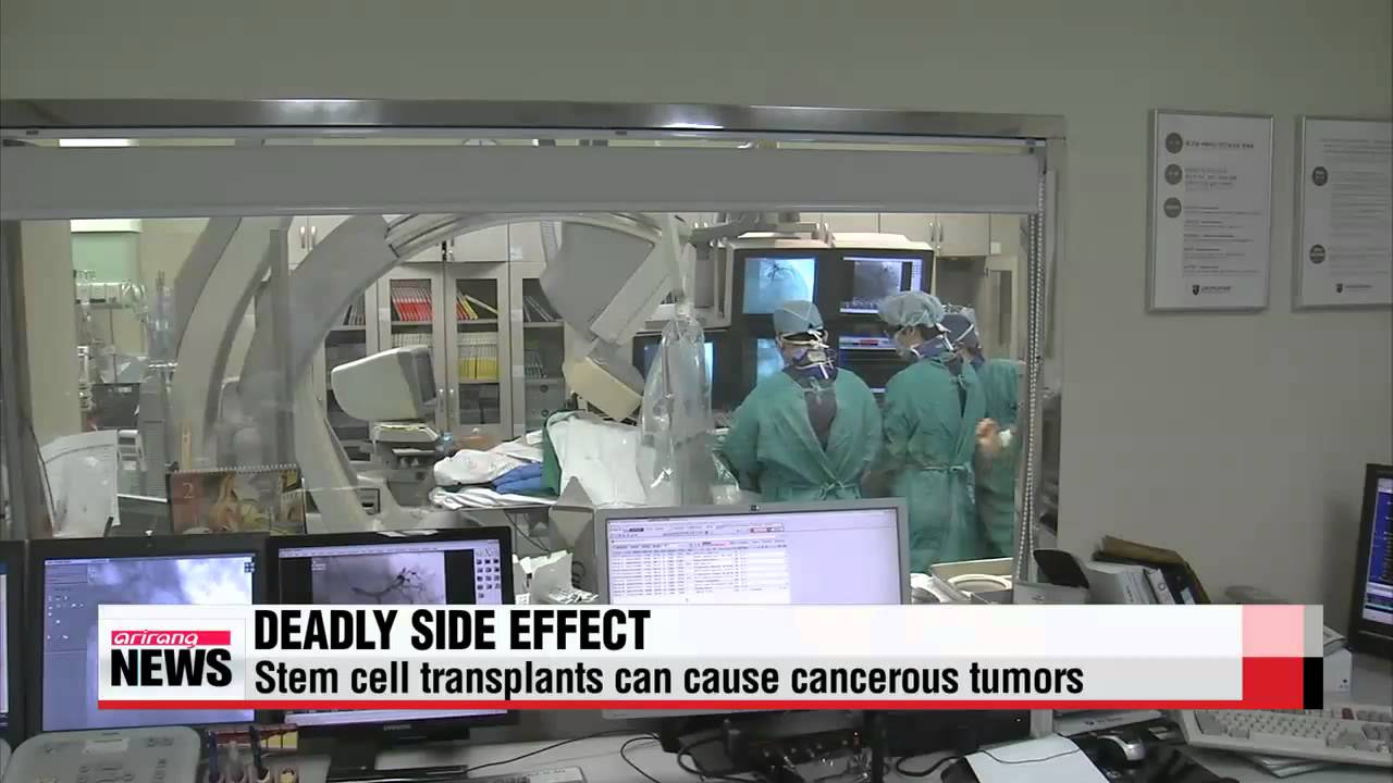 Local scientists find answer to stem cell side effect   줄기세포 치료제가 암 유발 논란 ... 근본