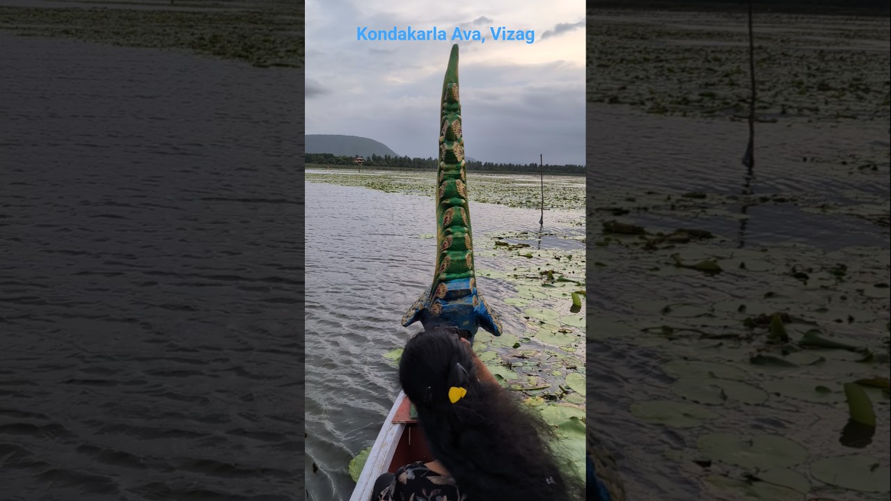 Kondakarla ava, Vizag #vizag #boating #nature #viral #trending #visakhapatnam #birds #lake #fishing