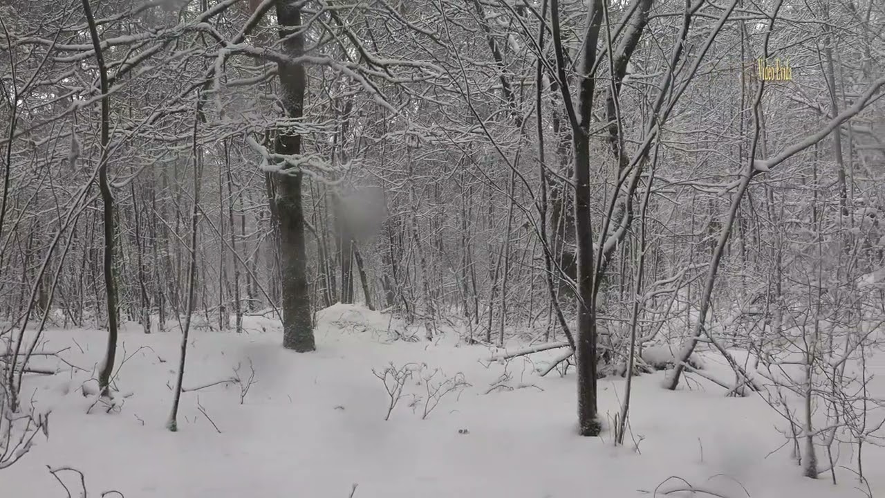 sneeuwpret 2026