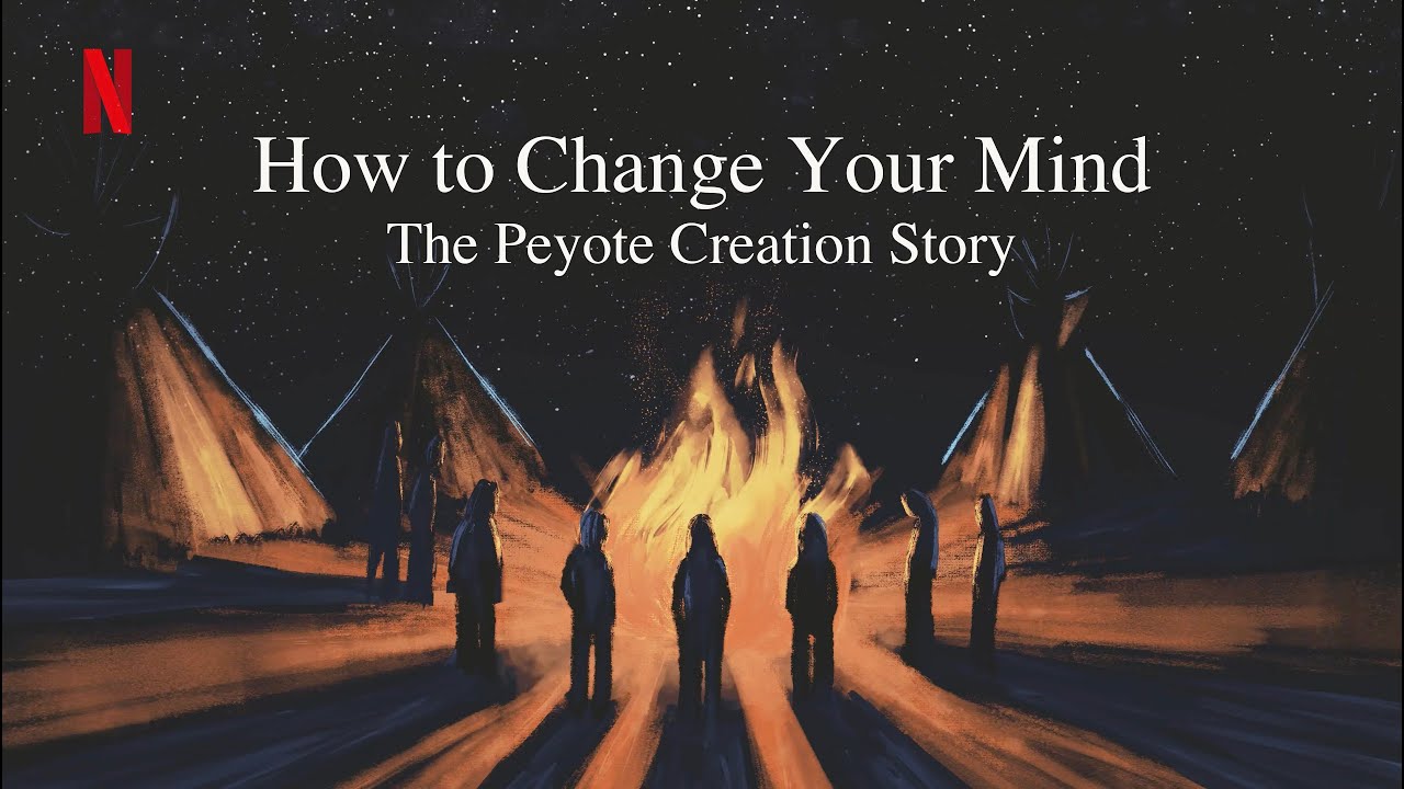 How to Change Your Mind Netflix