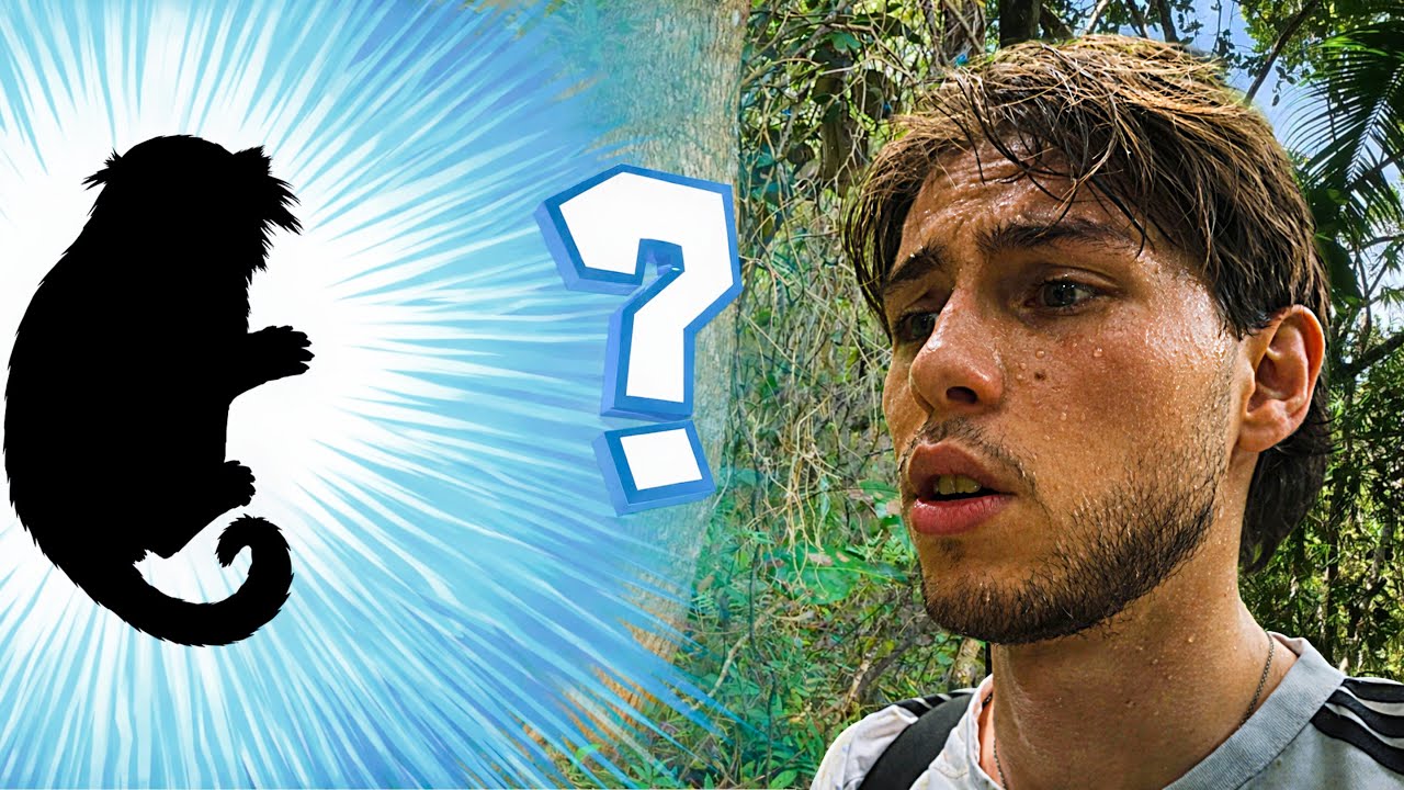 I got LOST searching for Monkeys in Brazil 🇧🇷🐒