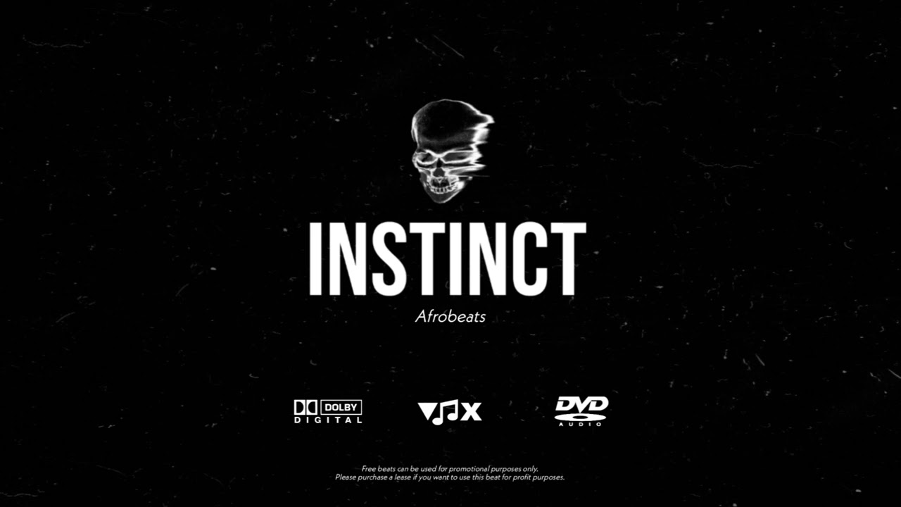 Omah Lay x Tems Afrobeat Type Beat – INSTINCT | Prod. VNX