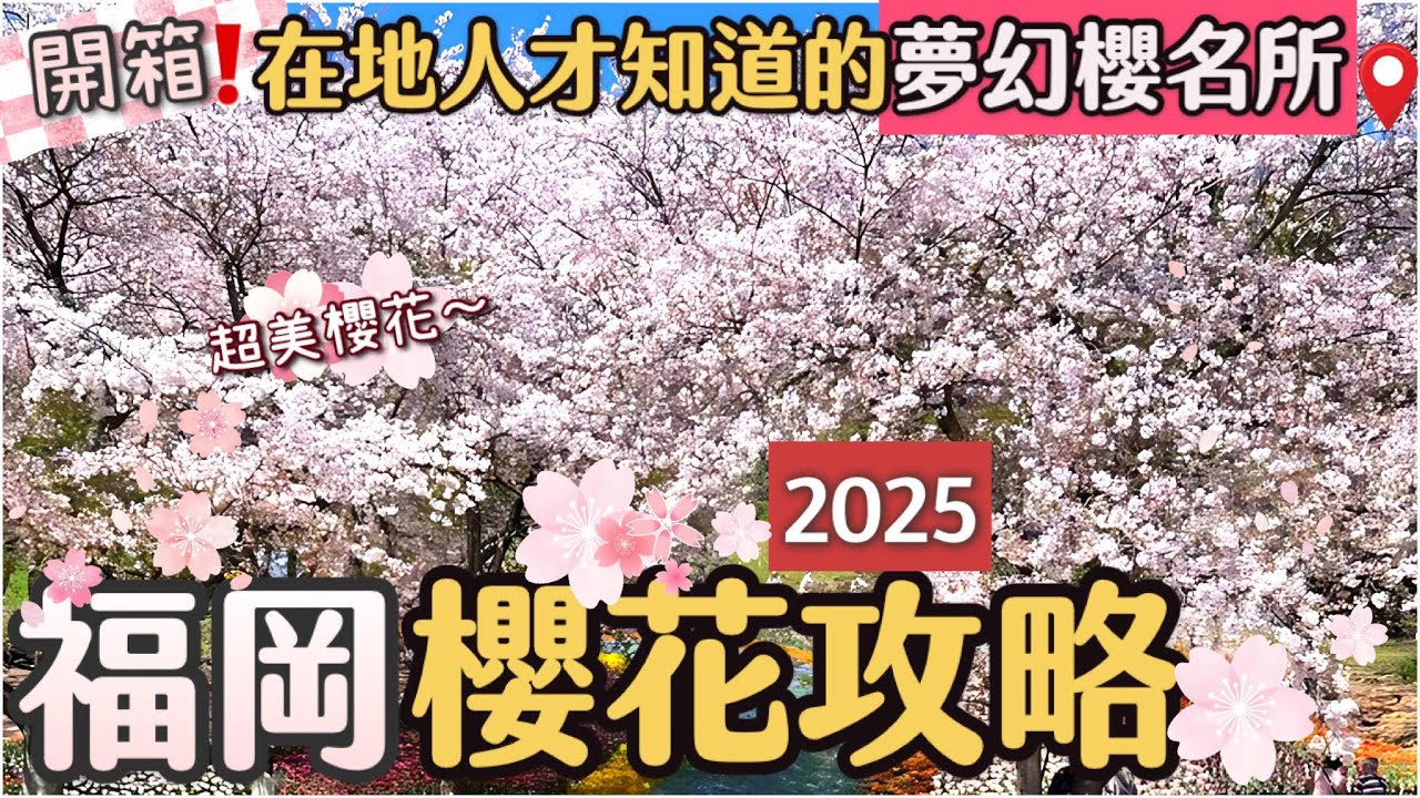 2025福岡賞櫻懶人包🌸 | 秘景賞櫻地櫻花散步 | 夢幻滿開櫻絕景 | 在地人推薦賞櫻一日遊