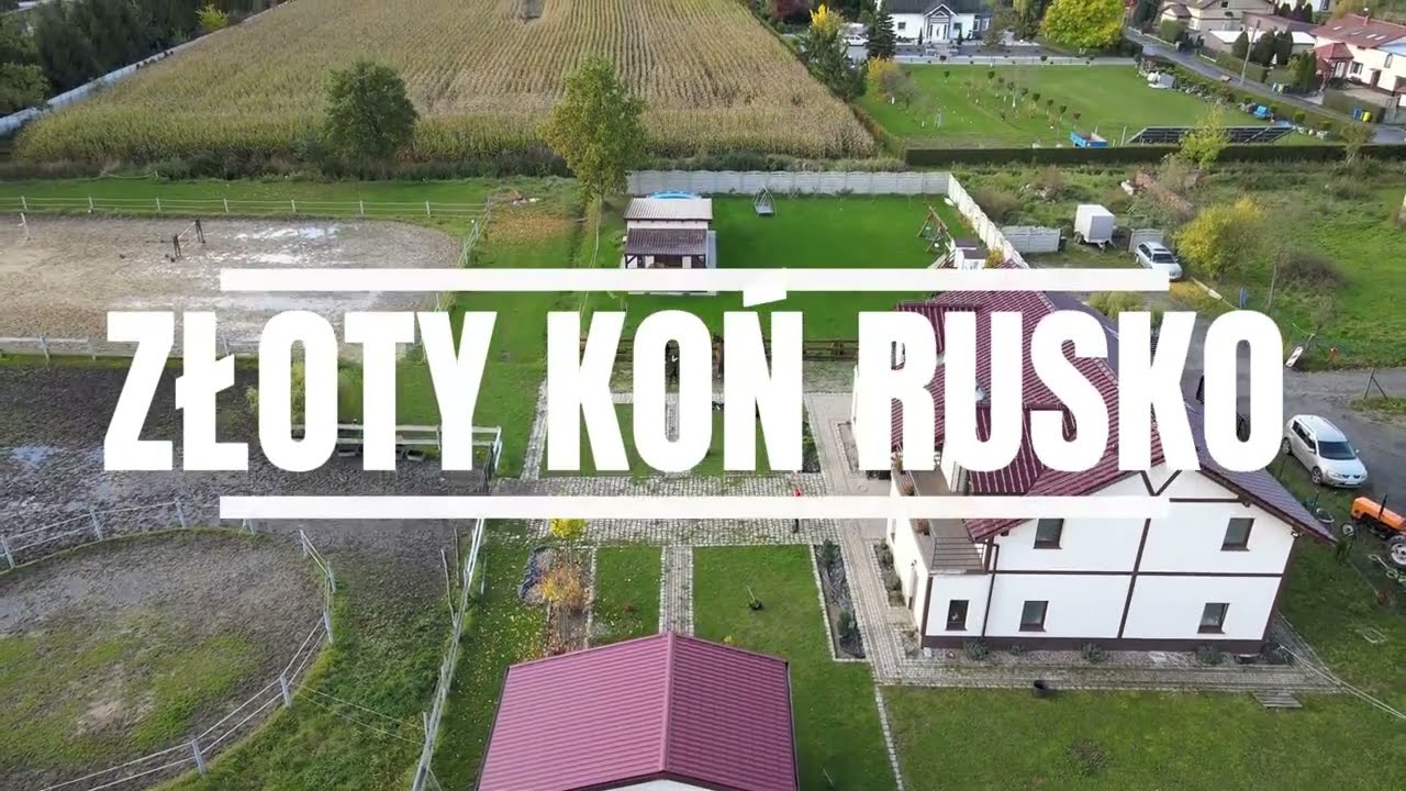 Agroturystyka ZŁOTY KOŃ Rusko