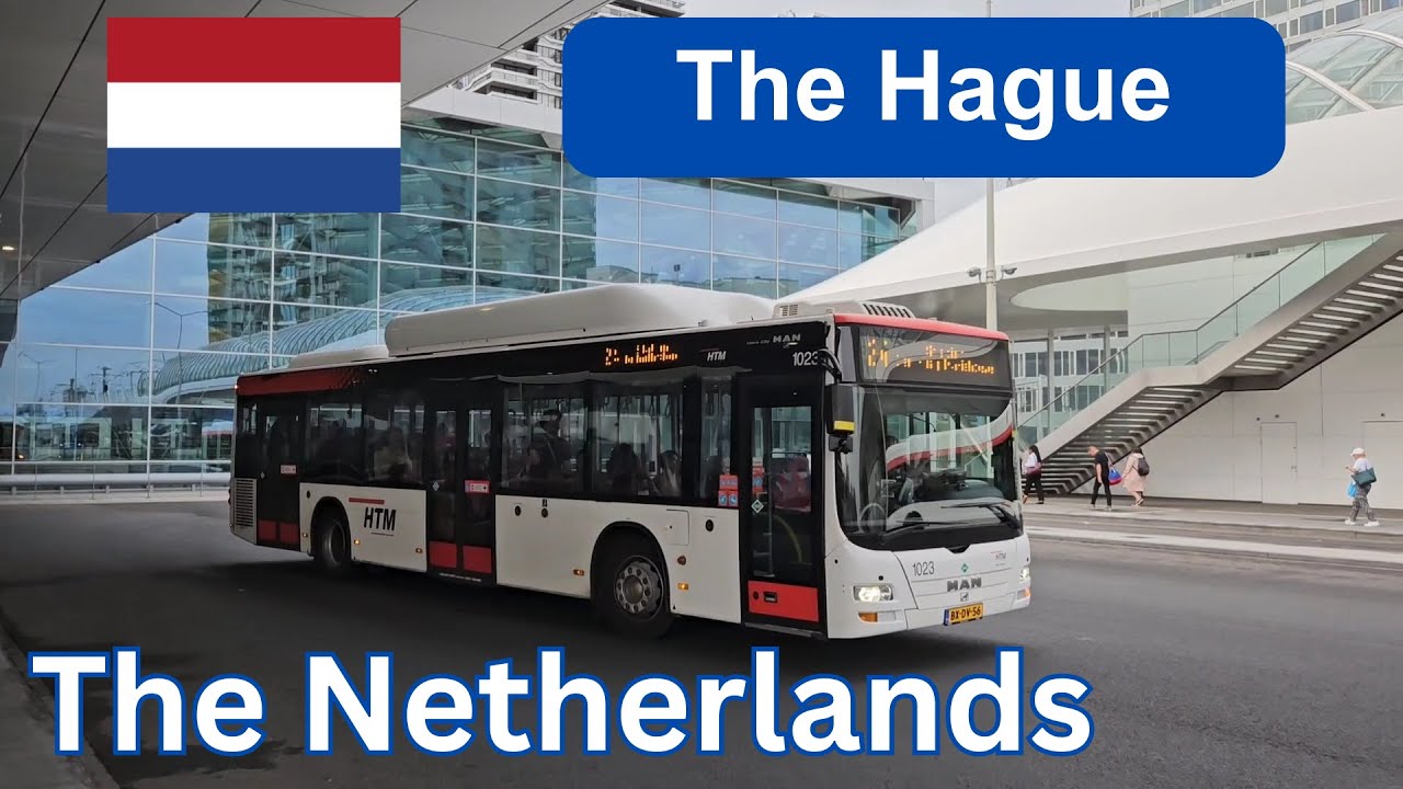 Trams and Buses in The Hague, The Netherlands🇳🇱 2024