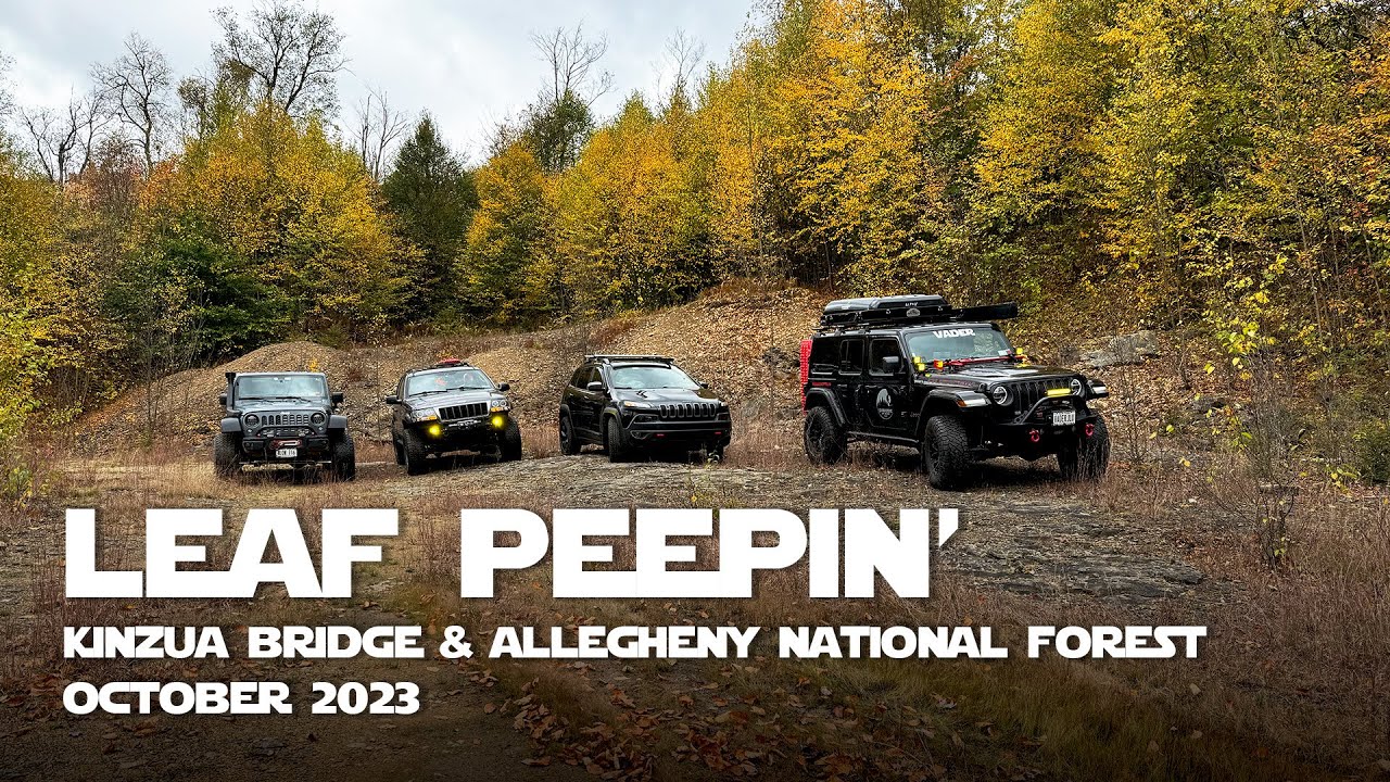 Leaf Peepin’ Allegheny National Forest w/ Friends