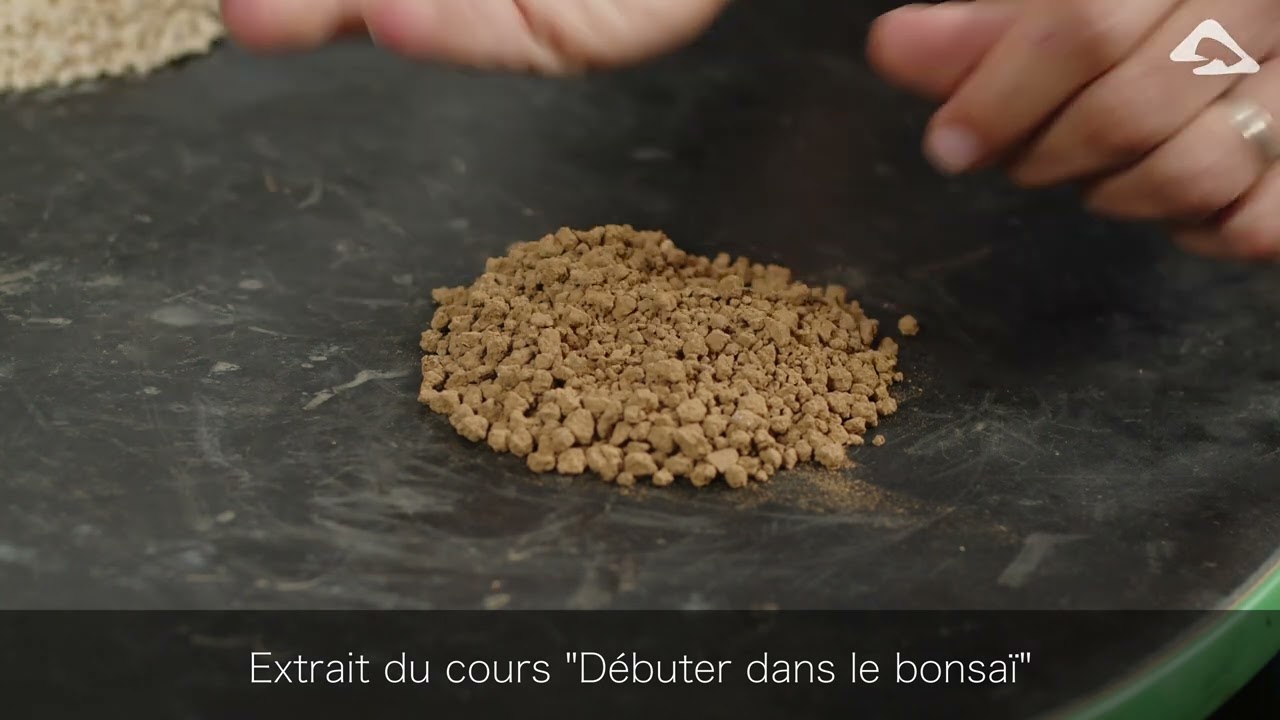 Extrait du cours 
