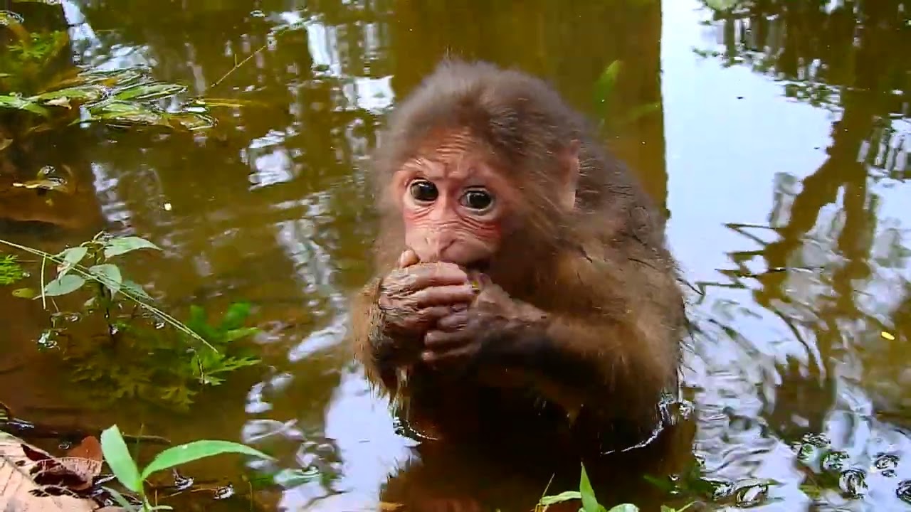 Don't watch me, I'm shy!