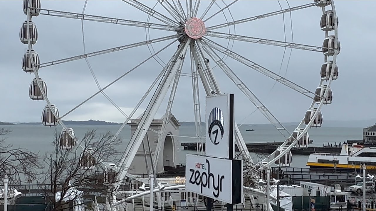 Dog Friendly Hotel Review - Hotel Zephyr - San Francisco CA