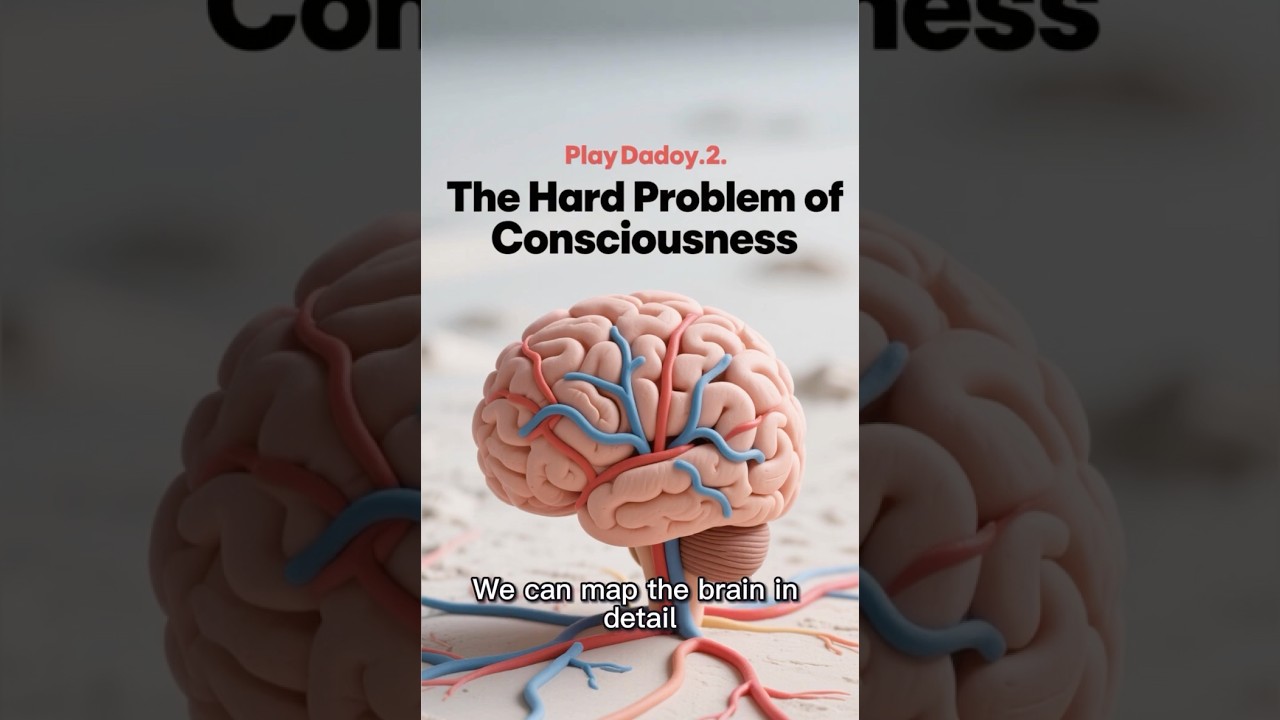🧠 Consciousness 