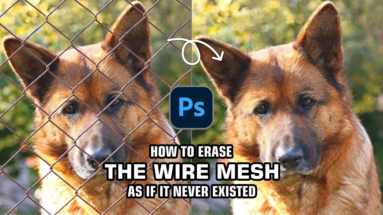 Go with this solution! How to erase the Wire Mesh as if it never existed in Photoshop 2024